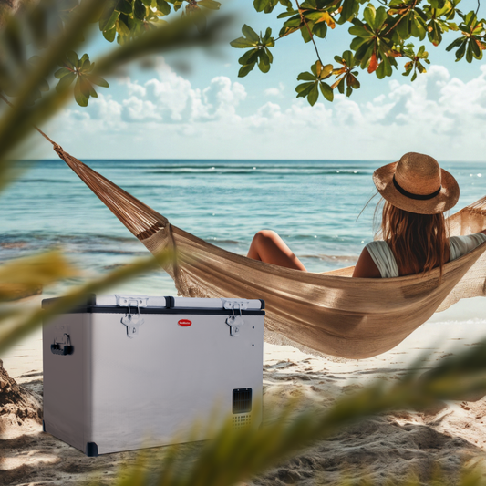 SnoMaster - 56L Dual Compartment Mobile Fridge/Freezer AC/DC - Stainless Steel (SMDZ-CL56D)